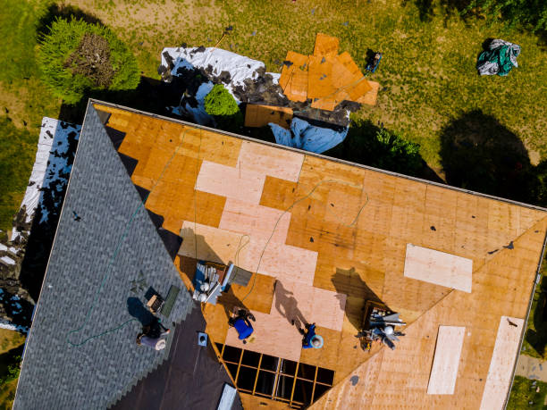 Best Metal Roofing Contractor  in Audubon Park, NJ