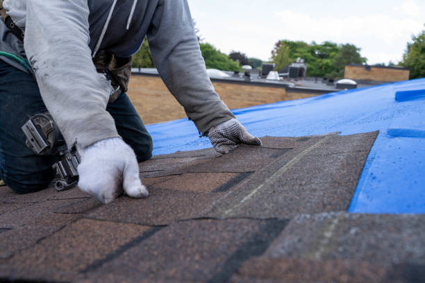 Best Roof Replacement Cost  in Audubon Park, NJ