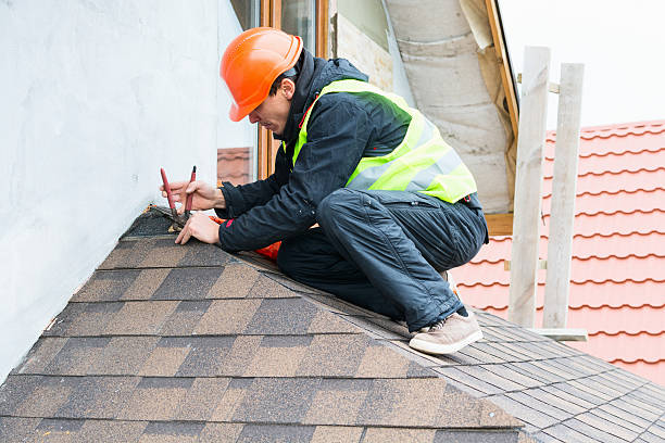 Best Roof Repair Services  in Audubon Park, NJ
