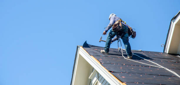 Best Local Roofing Companies  in Audubon Park, NJ